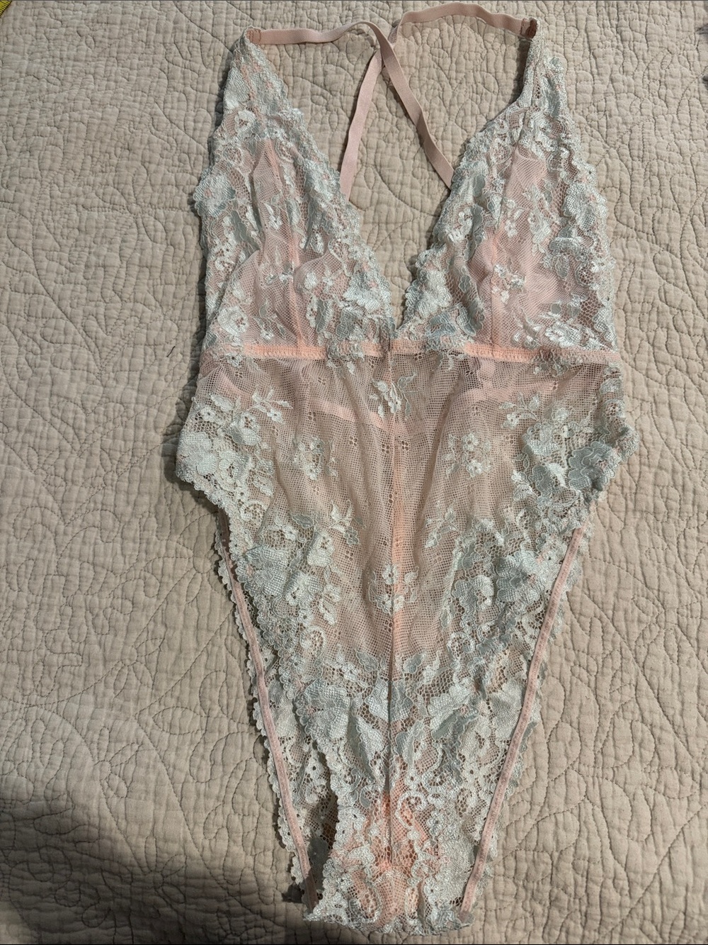 Delicate Lace Plunge Bodysuit in Blush